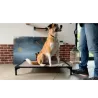 DOG BED LARGE 99 Cm X 69 Cm - Couchage pour chien