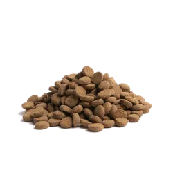 Croquettes ESSENTIAL OLDER pour chiens âgés – 10kg | Repas complet sans céréales, Canard & Poulet frais