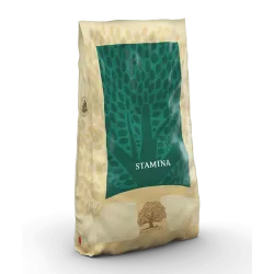 Croquettes chien STAMINA 10 KG ESSENTIAL FOODS