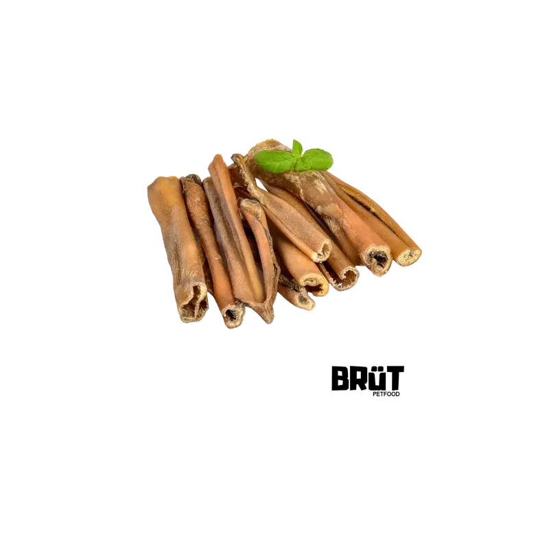Peau de Sanglier 15 cm BRÜT – Friandise naturelle et hypoallergénique pour chien Peau de Sanglier 15 cm BRÜT – Friandise naturelle et hypoallergénique pour chien