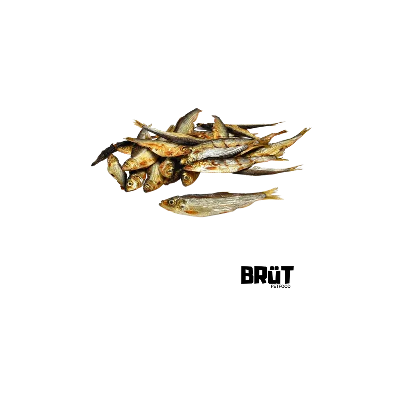 Sprats BRÜT : Friandises naturelles 100 % poisson, riches en oméga-3 pour chiens Sprats BRÜT : Friandises naturelles 100 % poisson, riches en oméga-3 pour chiens