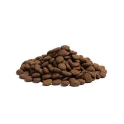 THE BEGINNING LARGE BREED 10Kg – Croquettes chiot grandes races sans céréales