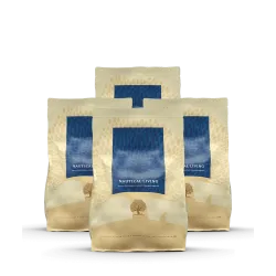 Croquettes Chien NAUTICAL LIVING Lot de 4 Sacs de 2.5 KG – Saumon, Truite, Hareng – Sans Céréales – ESSENTIAL FOODS