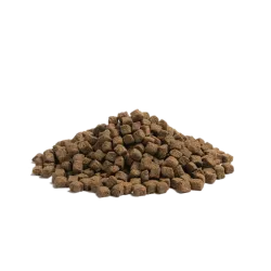 Croquettes ESSENTIAL OLDER pour chiens seniors – 2.5kg | Repas complet sans céréales pour chiens âgés