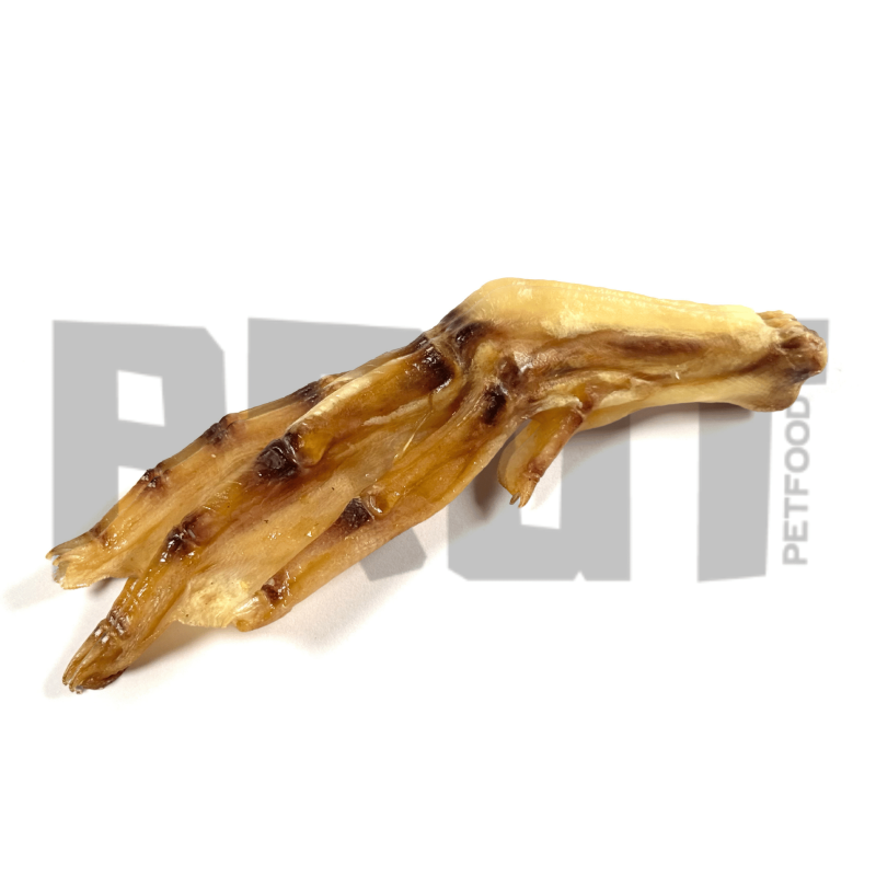 Pattes de Canard BRÜT : Friandises croustillantes, naturelles et digestes pour chiens