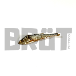 Sprats BRÜT : Friandises naturelles 100 % poisson, riches en oméga-3 pour chiens