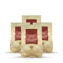 Lot de 3 x 2,5 THE BEGINNING PETIT CHIEN 2,5 Kg