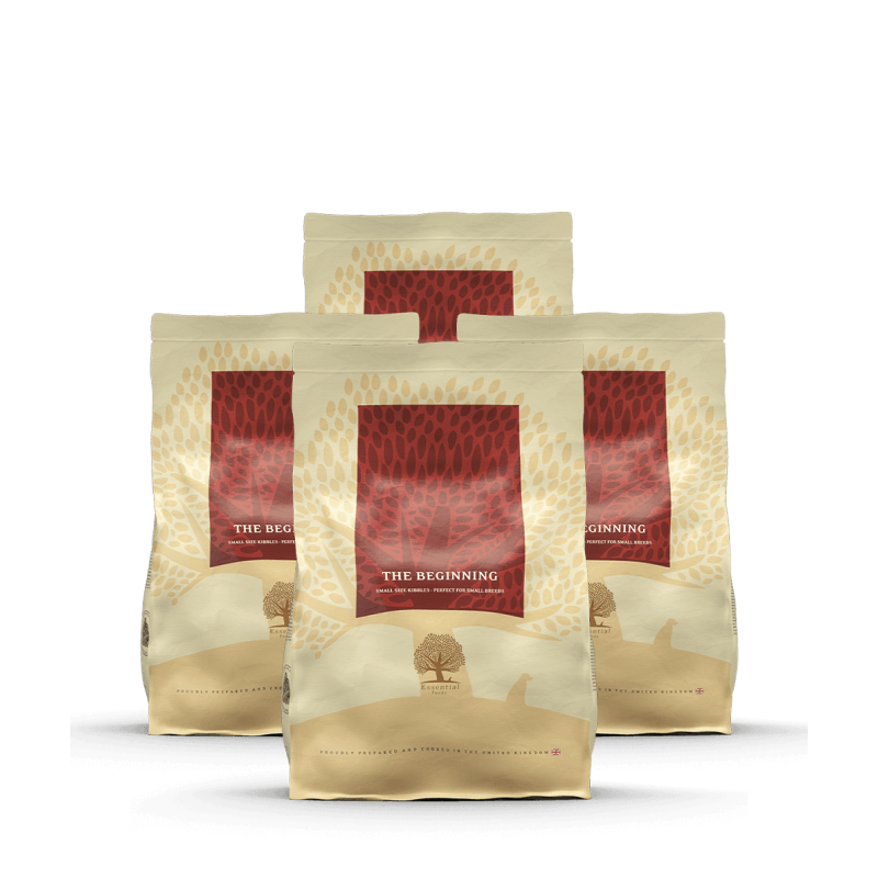 Lot de 3 x 2,5 THE BEGINNING PETIT CHIEN 2,5 Kg