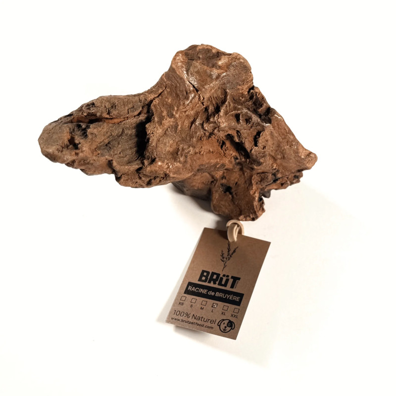 Racine de bruyère pour chien – Bois de mastication naturel et durable