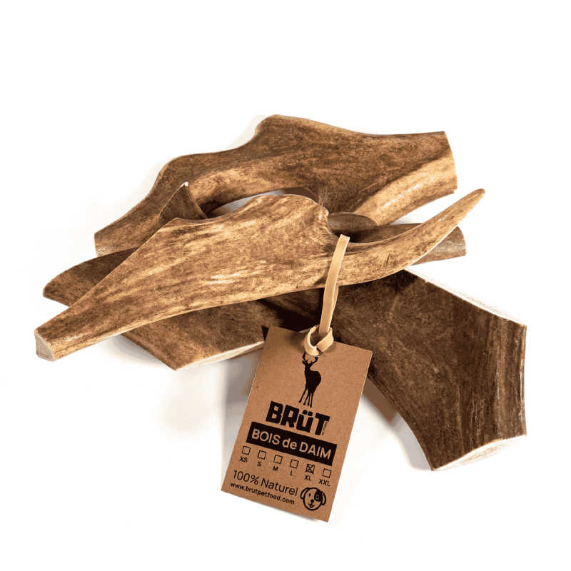 Bois de daim pour chien – Friandise naturelle à mâcher