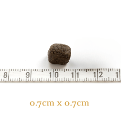 THE BEGINNING 10Kg – Croquettes chiot petites races sans céréales