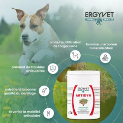 Ergyvet Artidyn 110g