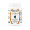 Ergyvet Felidyn 55g