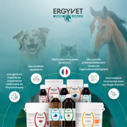 Ergyvet Hépatique 100 ml
