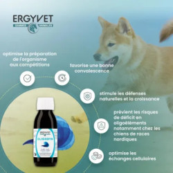 ERGYVET Oligodyn 100 ml