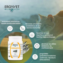 Ergyvet Omegadyn 60 pots