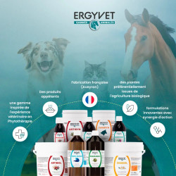 Ergyvet Zeodyn 70g