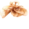 Friandises Oreilles de Bœuf COW DELIGHTS – ESSENTIAL FOODS