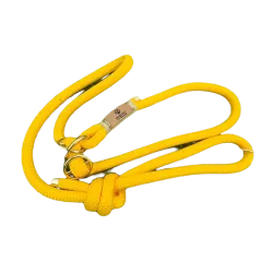 Laisse lassos  pour chiens - Ty Bleiz