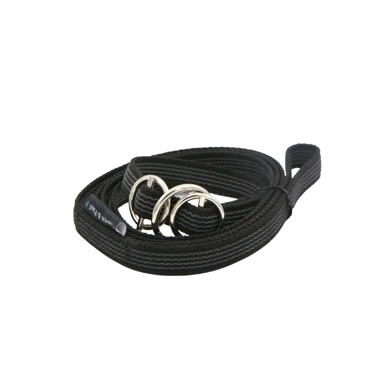 LAISSE LASSO 160cm EN GOMME