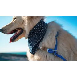 Laisse lassos  pour chiens - Ty Bleiz