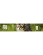 Compléments naturels pour chats