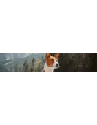 Compléments naturels pour votre chien: Voies respiratoires, truffe, coussinets
